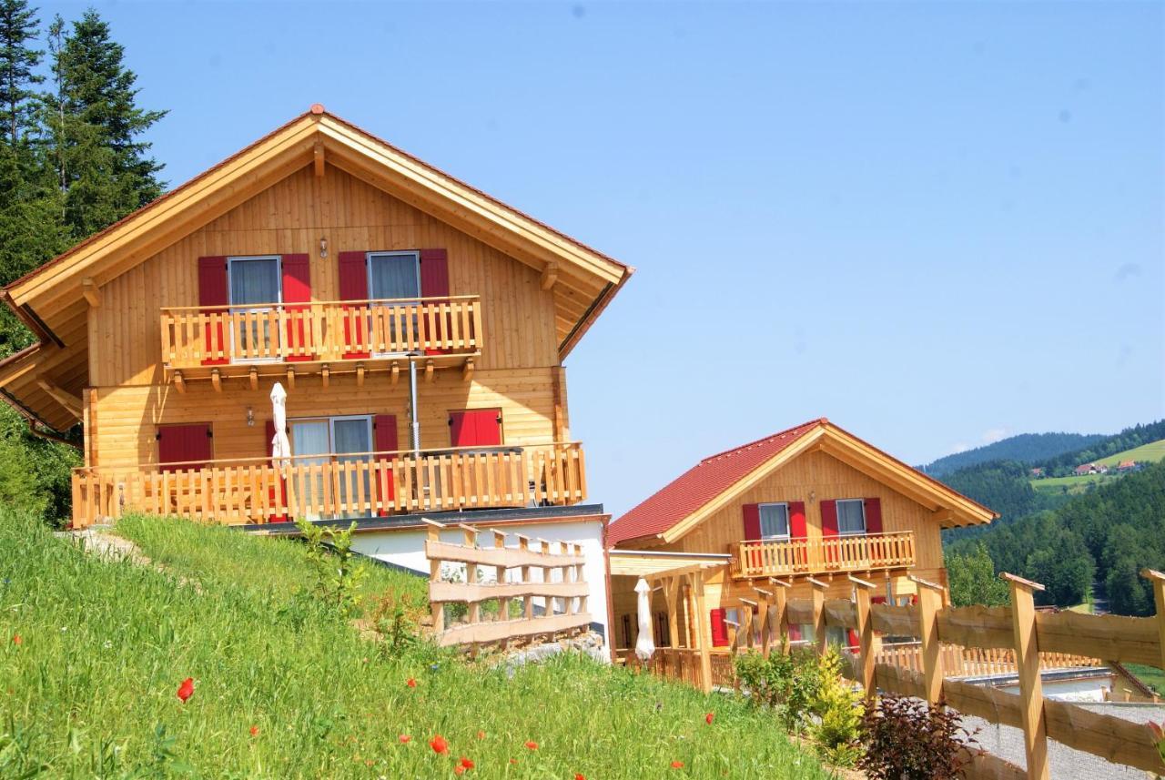 Bergchalet Am Waldrand - Pool, Sauna & Kamin Pöllauberg Екстериор снимка