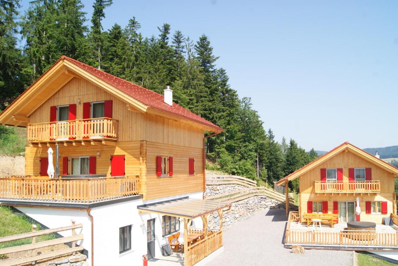 Bergchalet Am Waldrand - Pool, Sauna & Kamin Pöllauberg Екстериор снимка